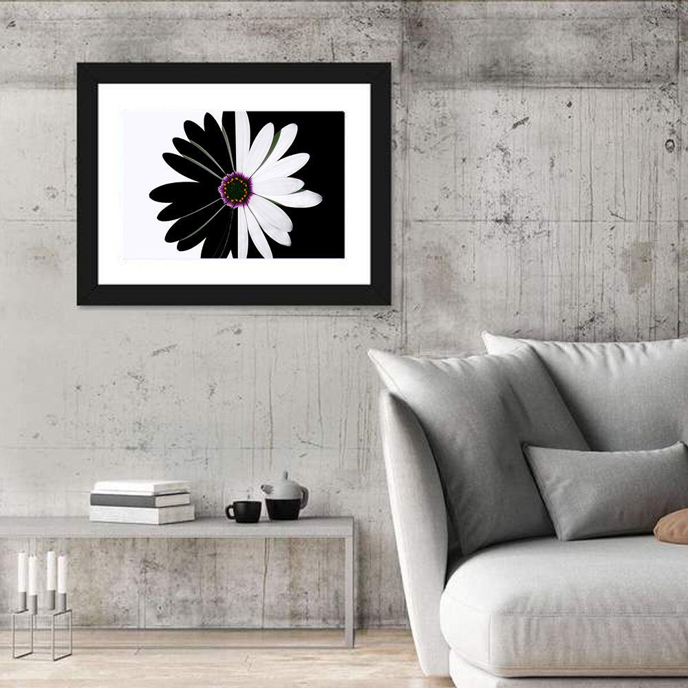 Black and White Daisy with Purple Ring Wall Art in a room, landscape