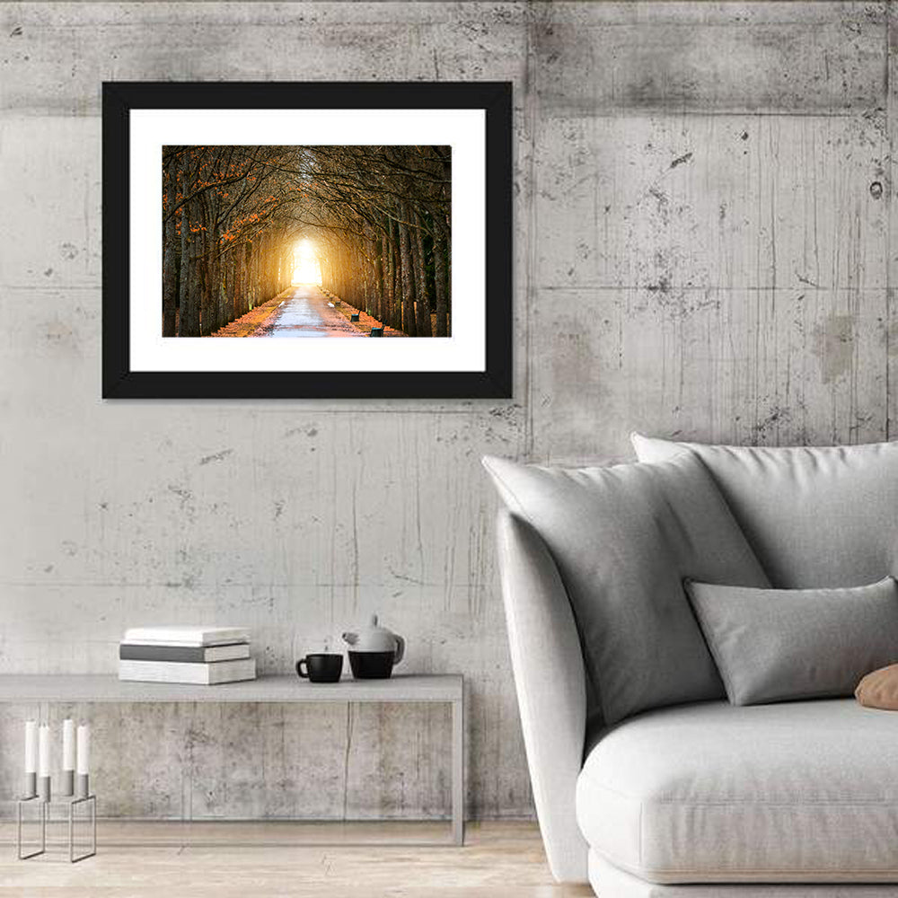 Autumn Oak Tunnel Wall Art