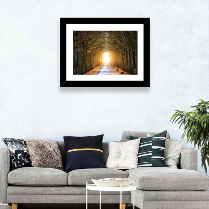 Oaks Tree Tunnel Wall Art
