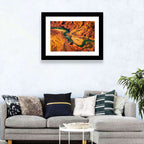 Aerial Colorado River Canyon Wall Art