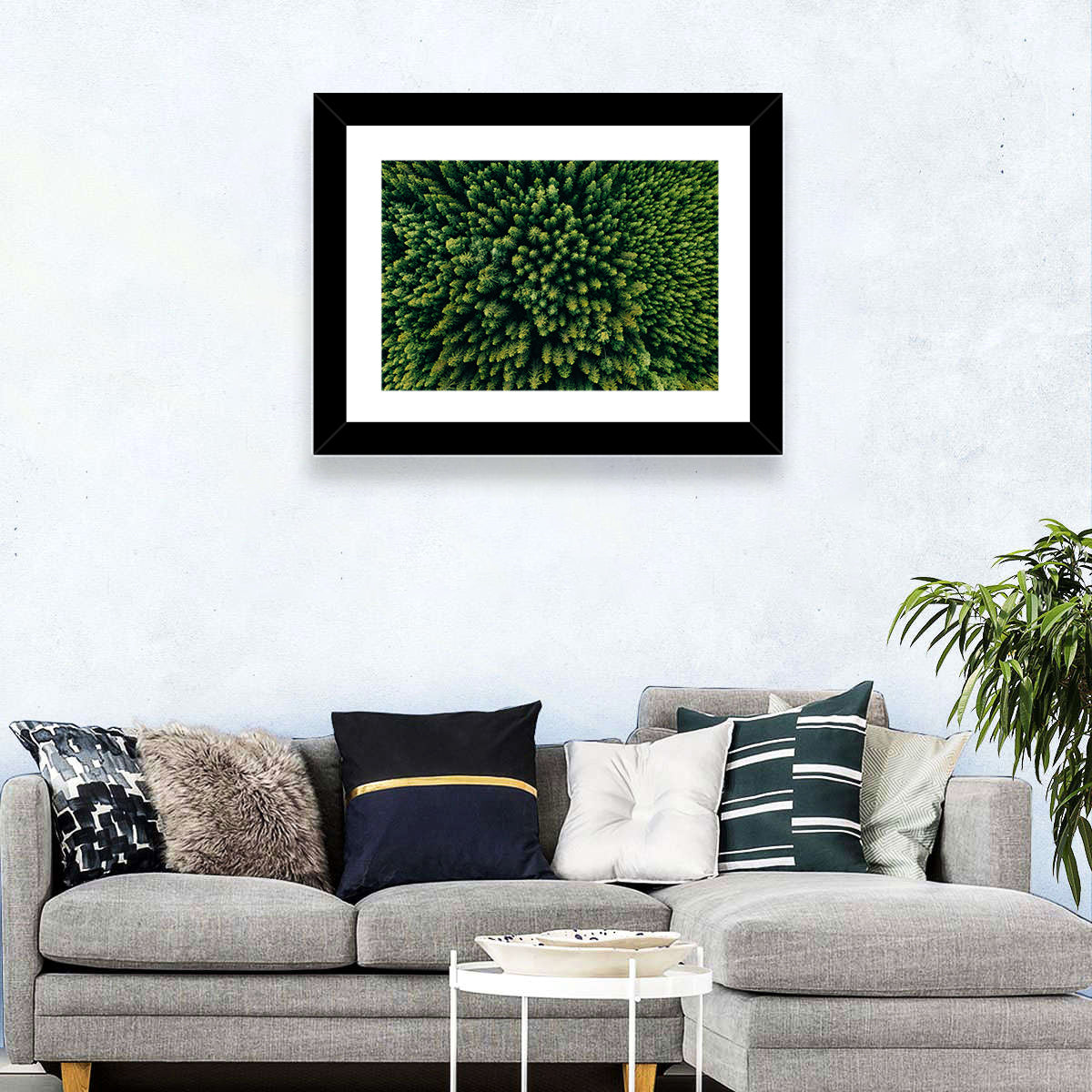 Aerial Conifer Canopy Wall Art in a room, landscape