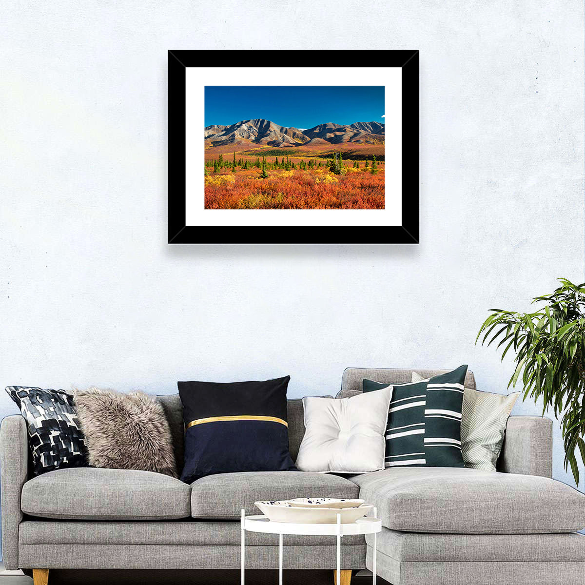 Denali National Park Wall Art