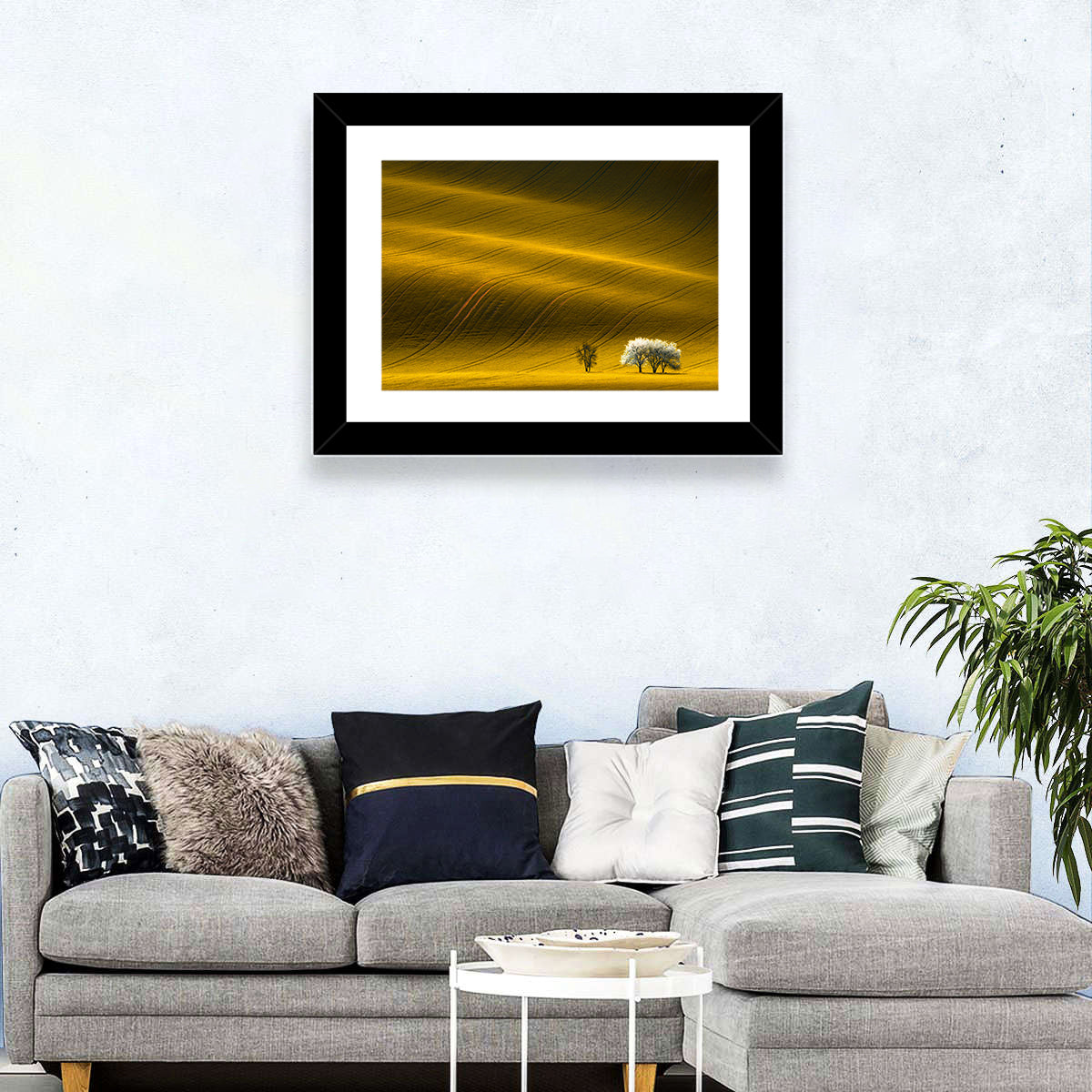 Golden Hour Rapeseed Field Wall Art in a room, landscape