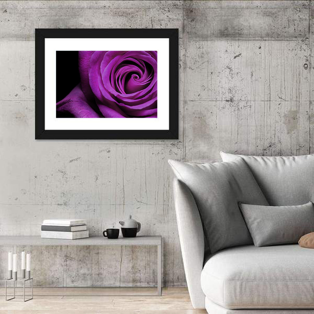 Purple Rose Close-up Wall Art in a room, landscape