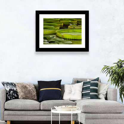 Giant Water Lilies Wall Art