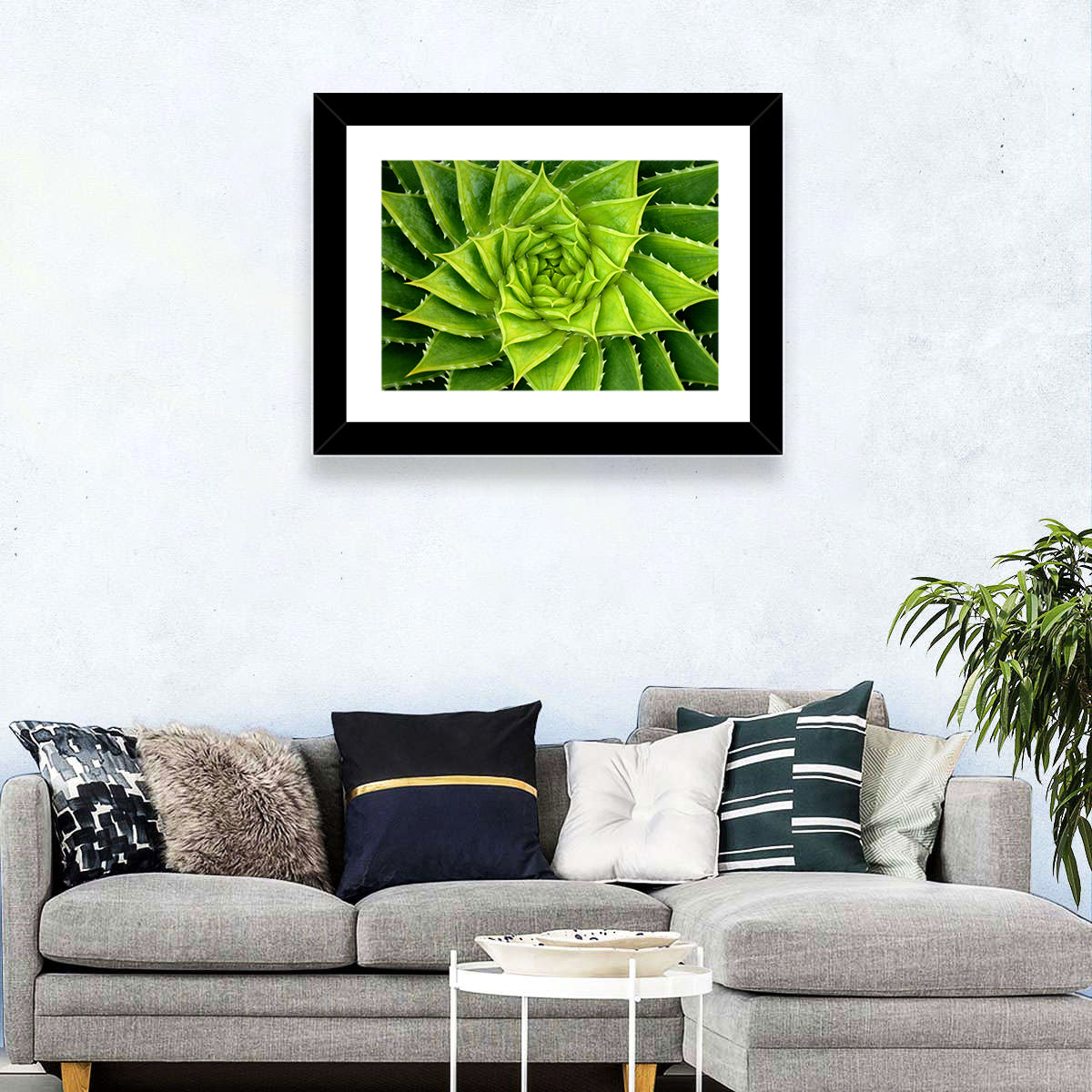Spiral Aloe Succulent Wall Art