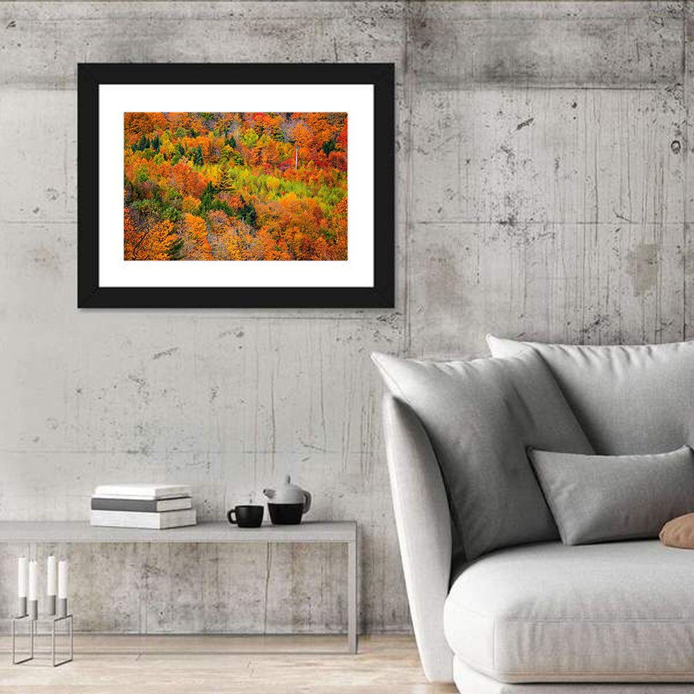 Vermont Autumn Mountain Forest Wall Art in a room, landscape