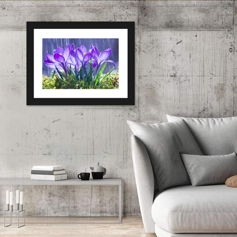 Rainy Purple Crocuses Wall Art