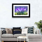 Rainy Purple Crocuses Wall Art