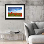 Red Poppy Field Wall Art