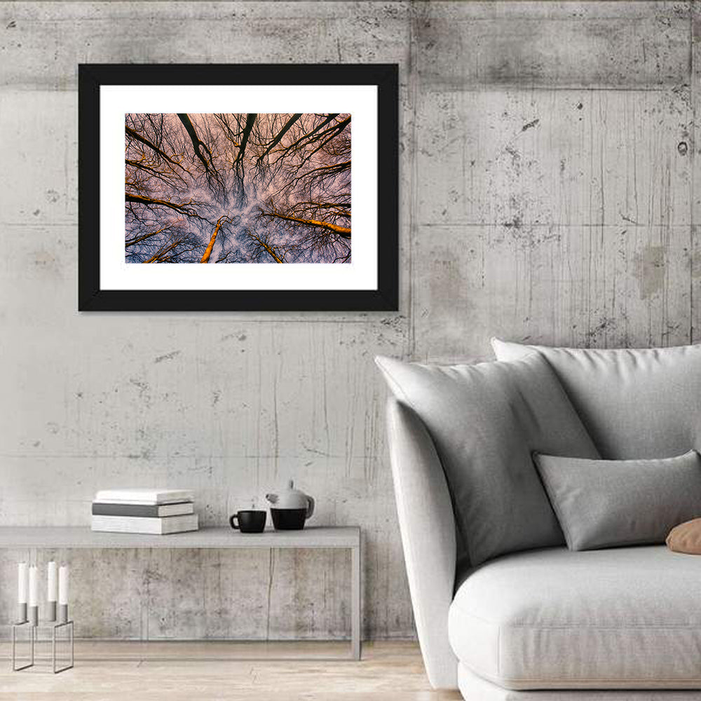 Misty Forest Canopy Wall Art
