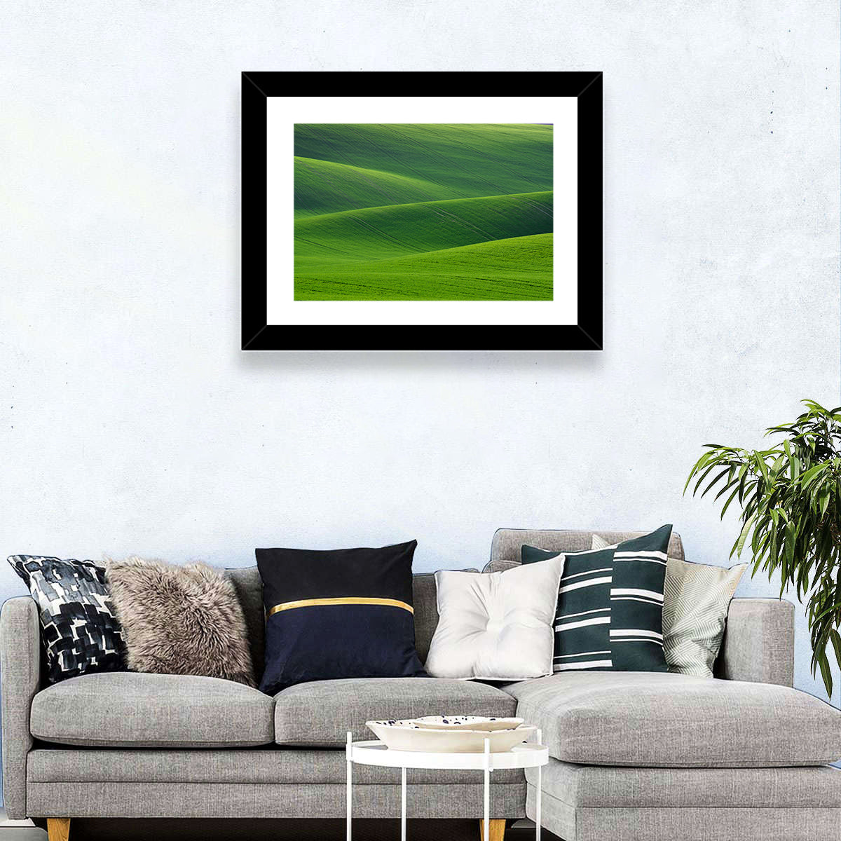 Green Wheat Fields Wall Art