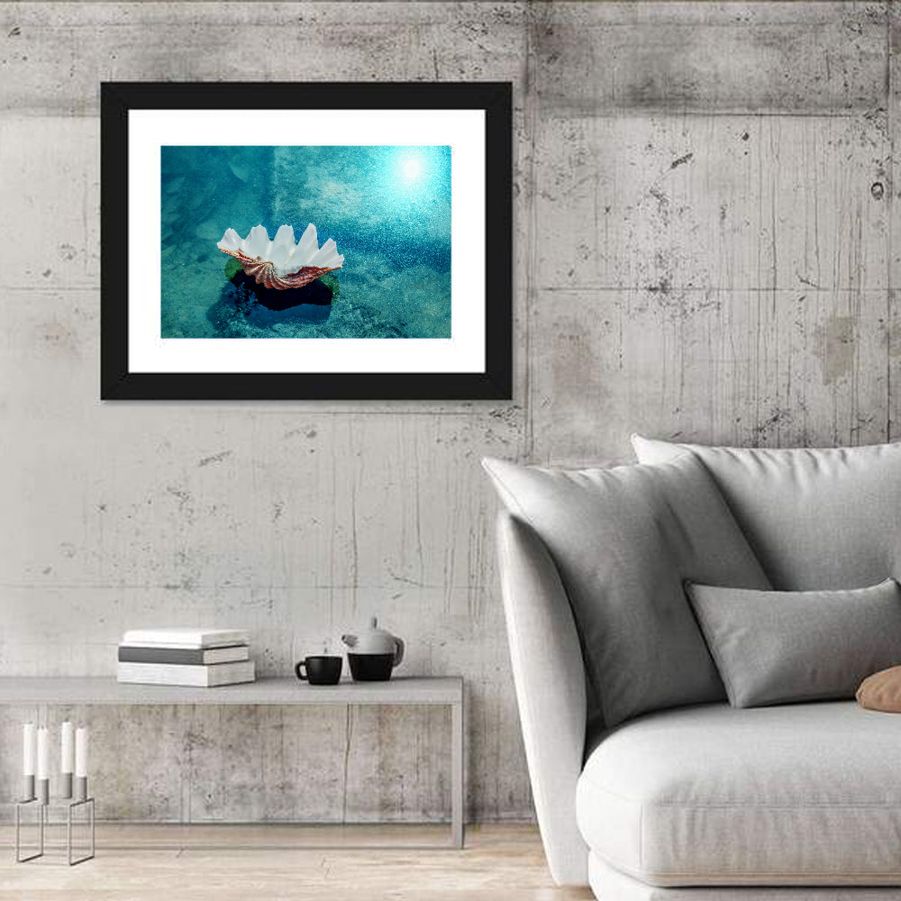 Giant Clam Shell Wall Art