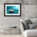 Giant Clam Shell Wall Art