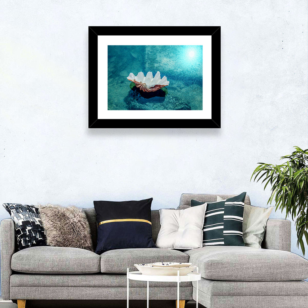 Giant Clam Shell Wall Art
