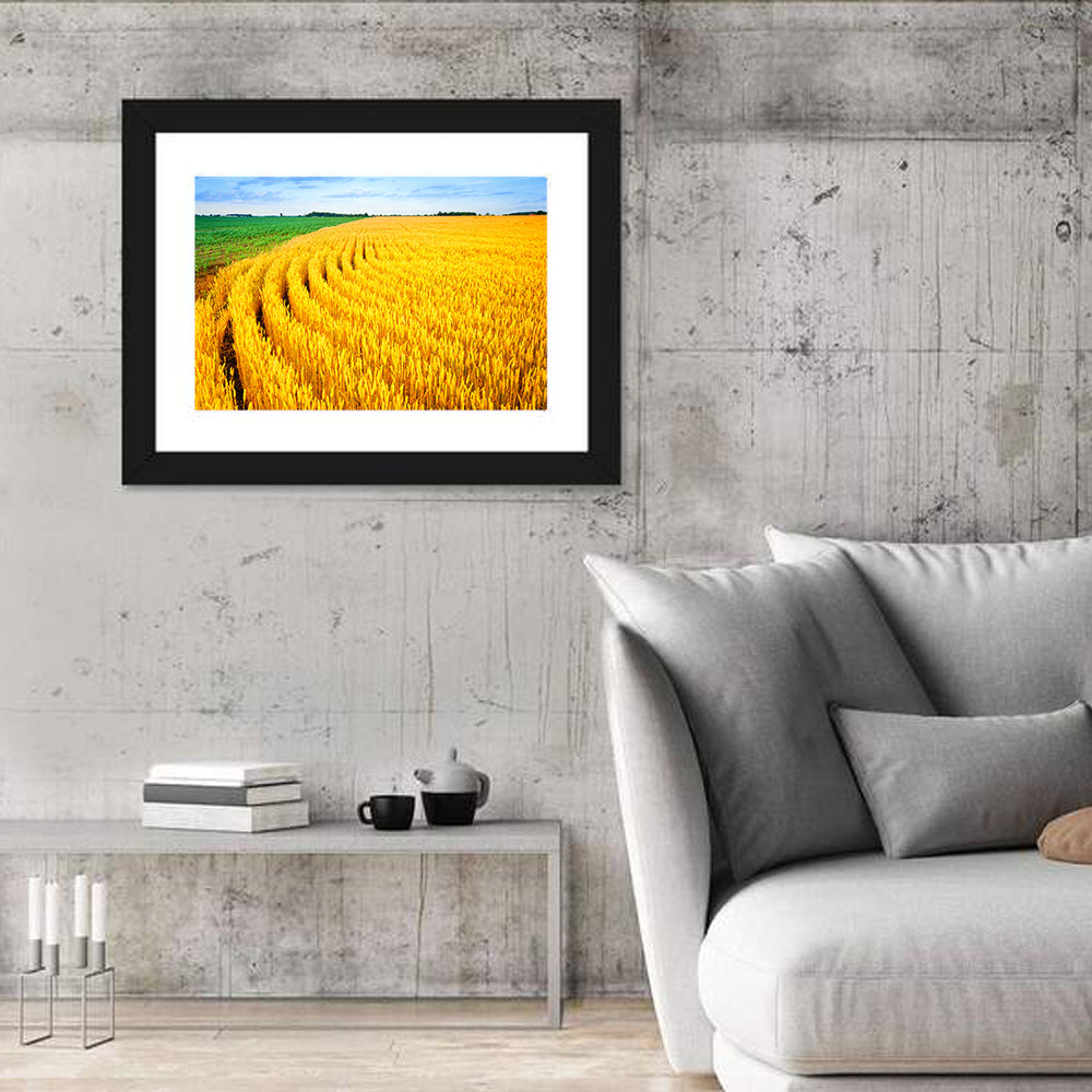 Summer Wheat Field with Curved Paths Wall Art in a room, landscape