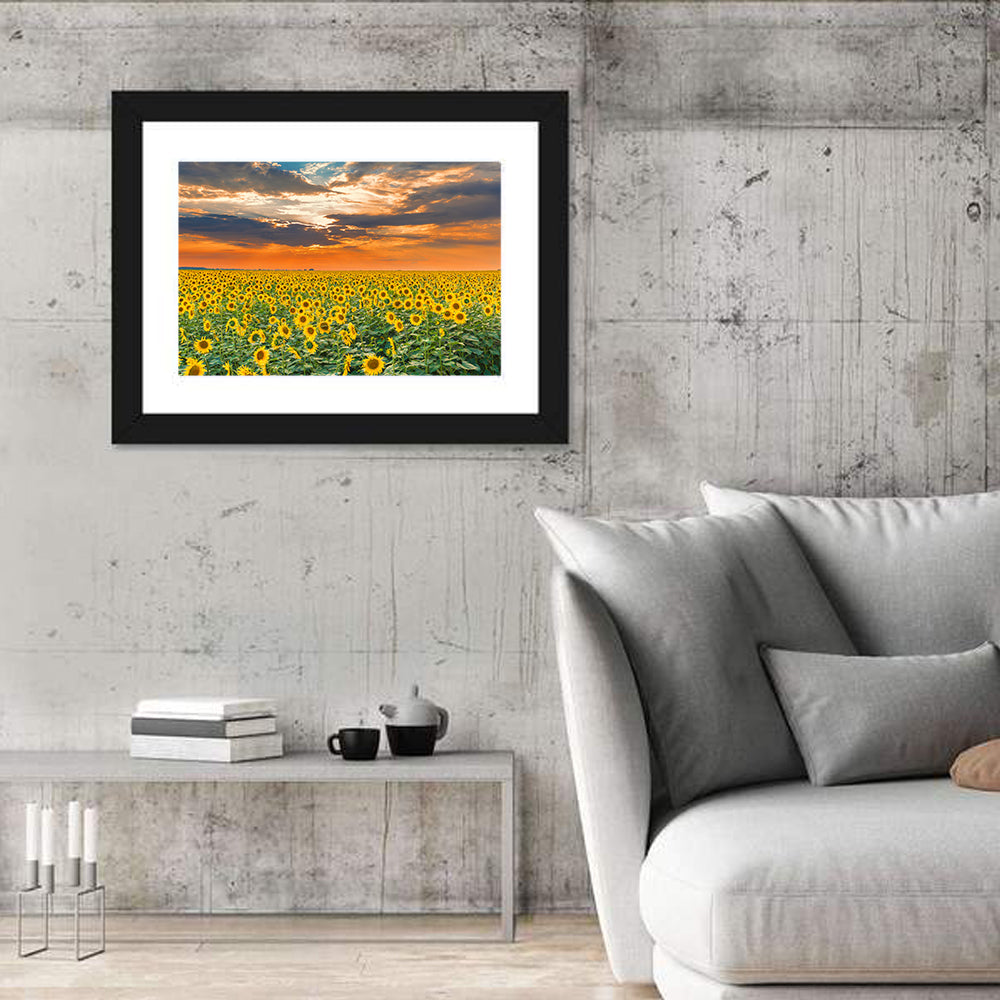 Golden Hour Sunflower Field Wall Art