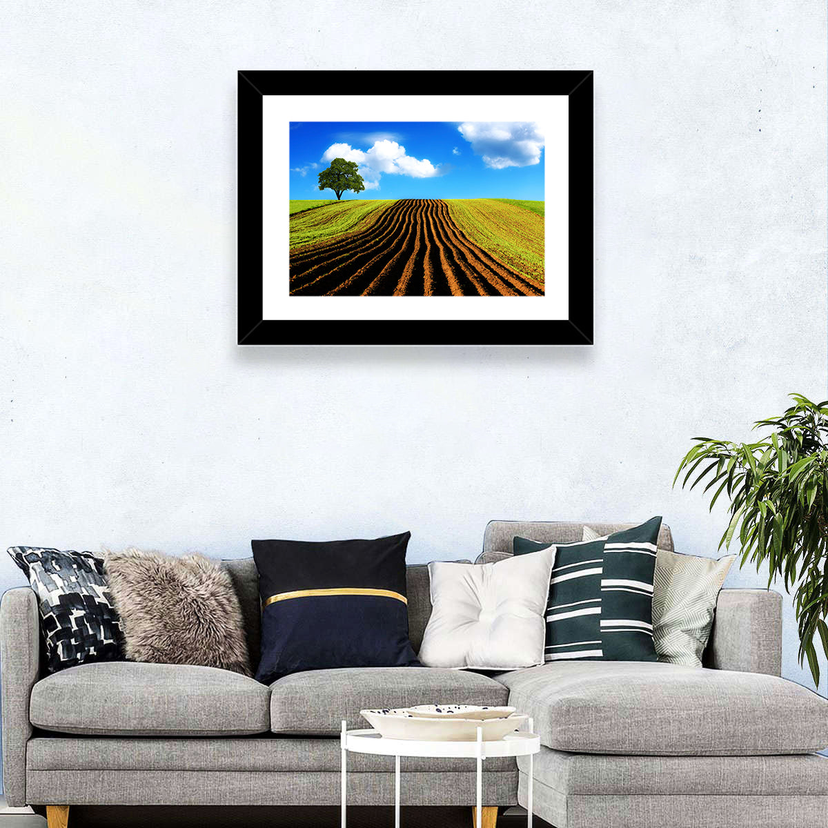 Plowed Field with Lone Tree Wall Art in a room, landscape