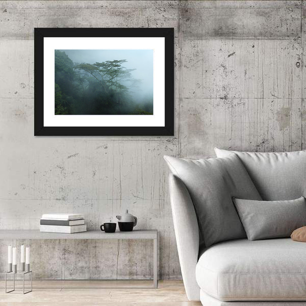 Misty Rainforest Canopy Wall Art in a room, landscape