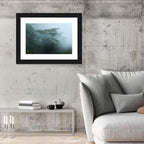 Misty Rainforest Canopy Wall Art