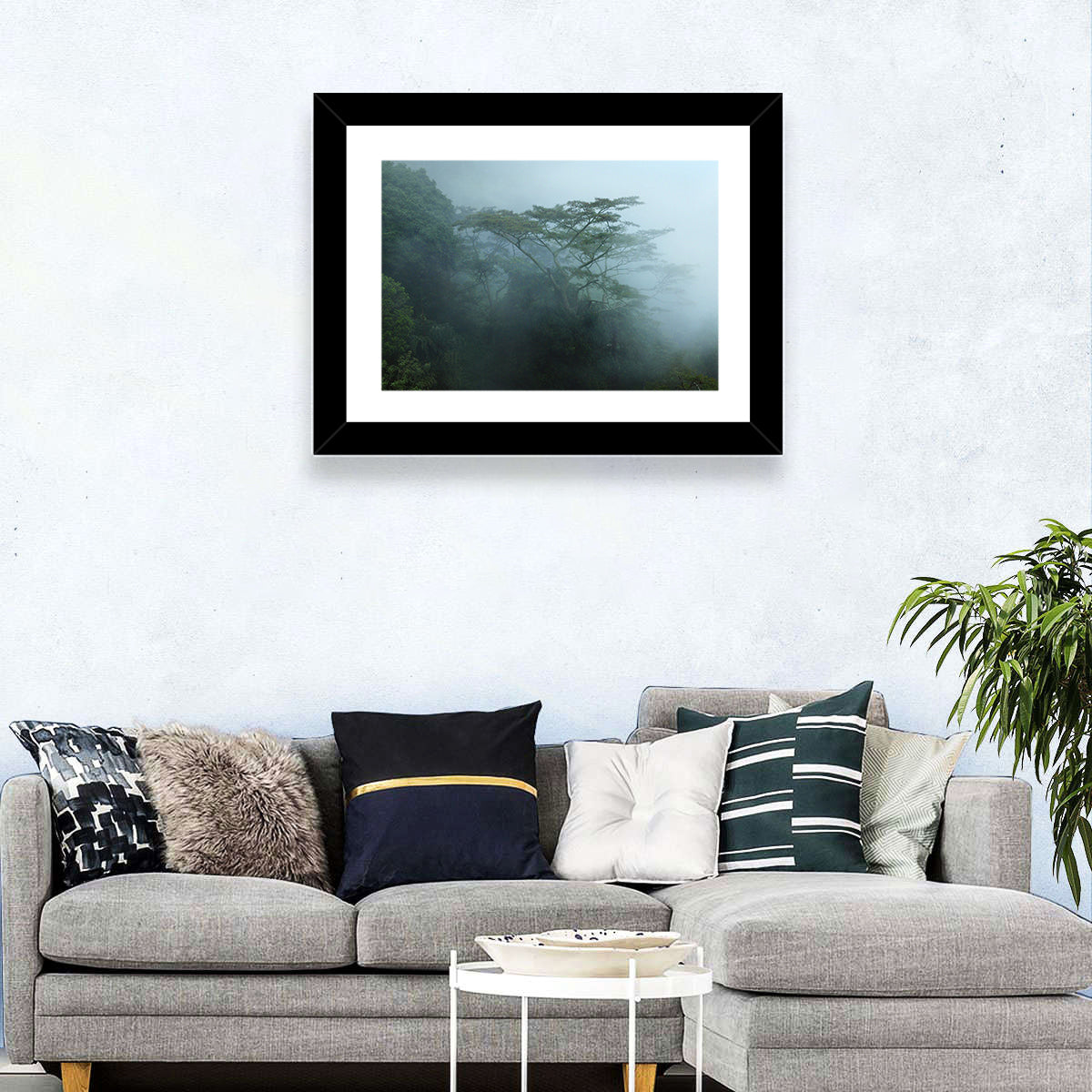 Foggy Rainforest Trees Wall Art