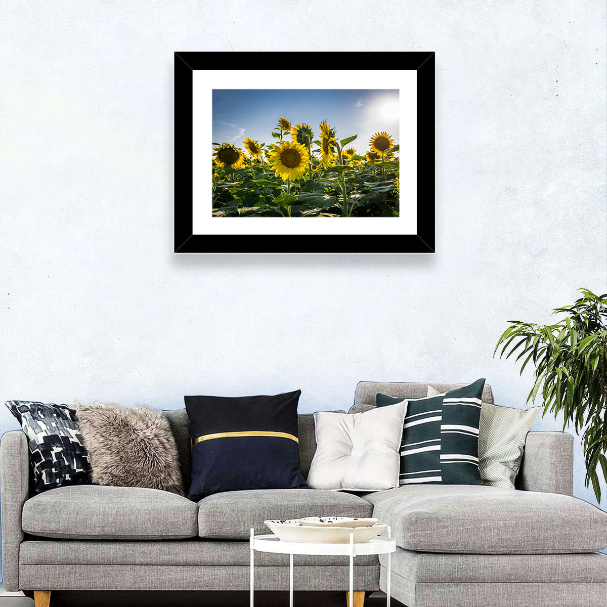 Fresh Sunflowers Field Wall Art
