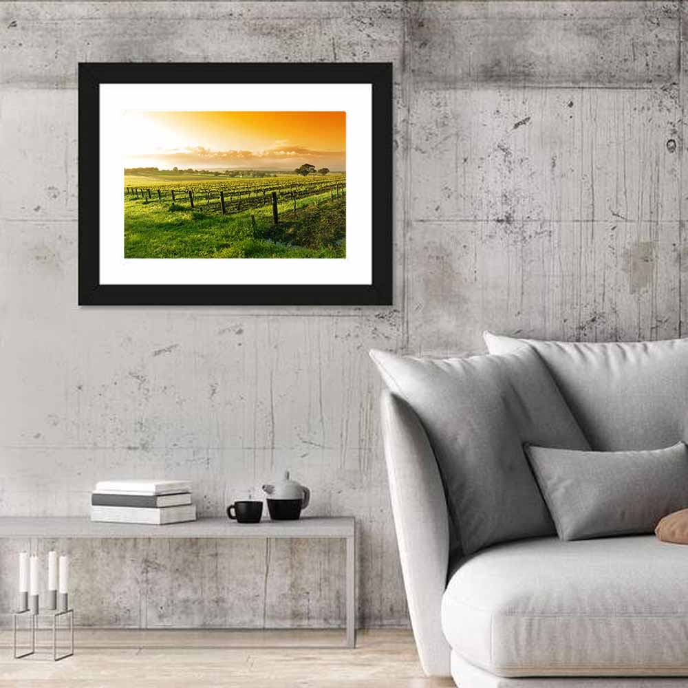 Barossa Valley Vineyard at Sunrise Wall Art