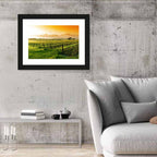 Barossa Valley Vineyard at Sunrise Wall Art
