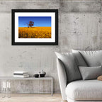 Canola Field with Lone Tree Wall Art