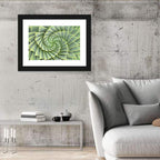 Spiral Aloe Close-up Wall Art