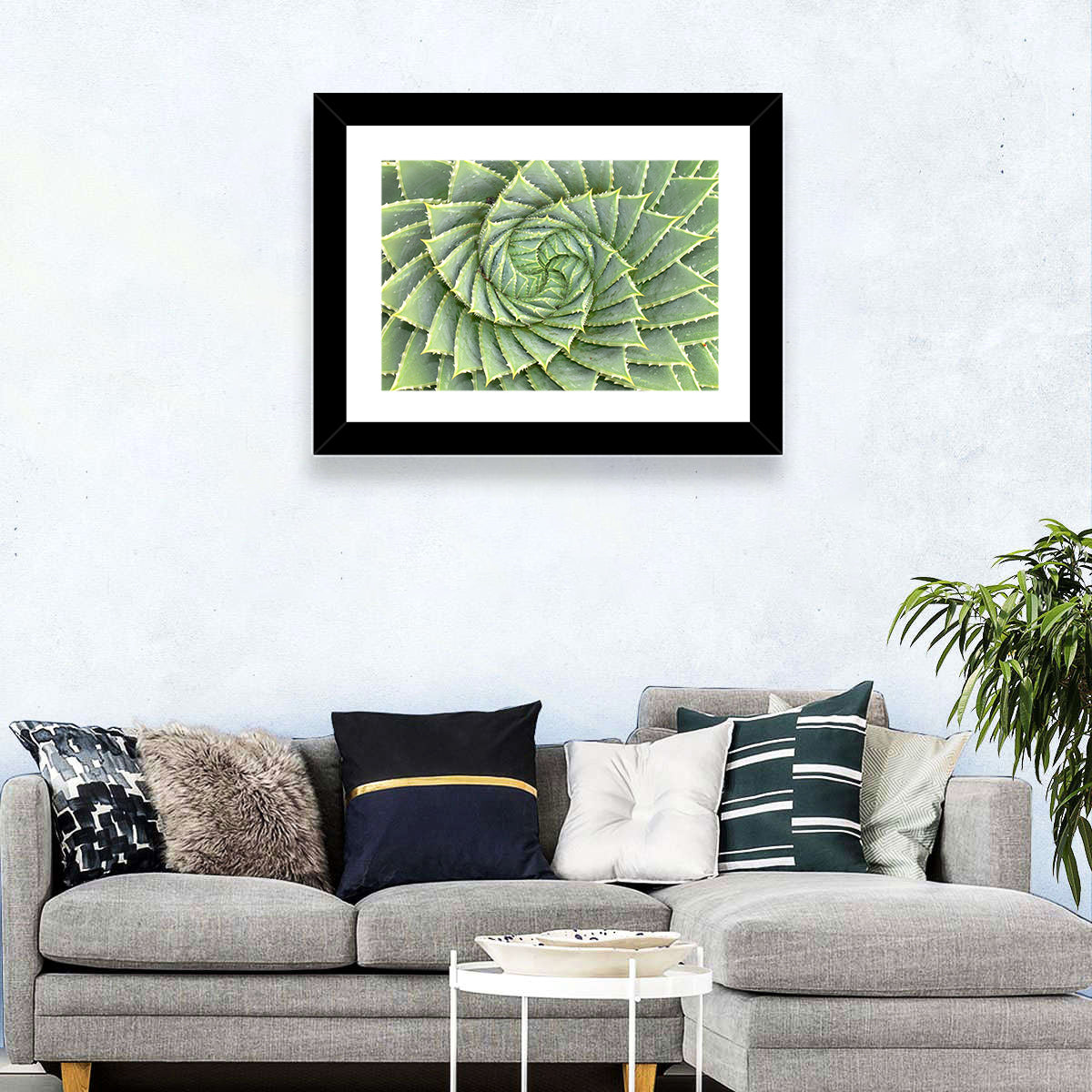 Spiral Aloe Close-up Wall Art in a room, landscape