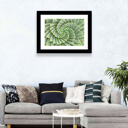 Spiral Aloe Wall Art