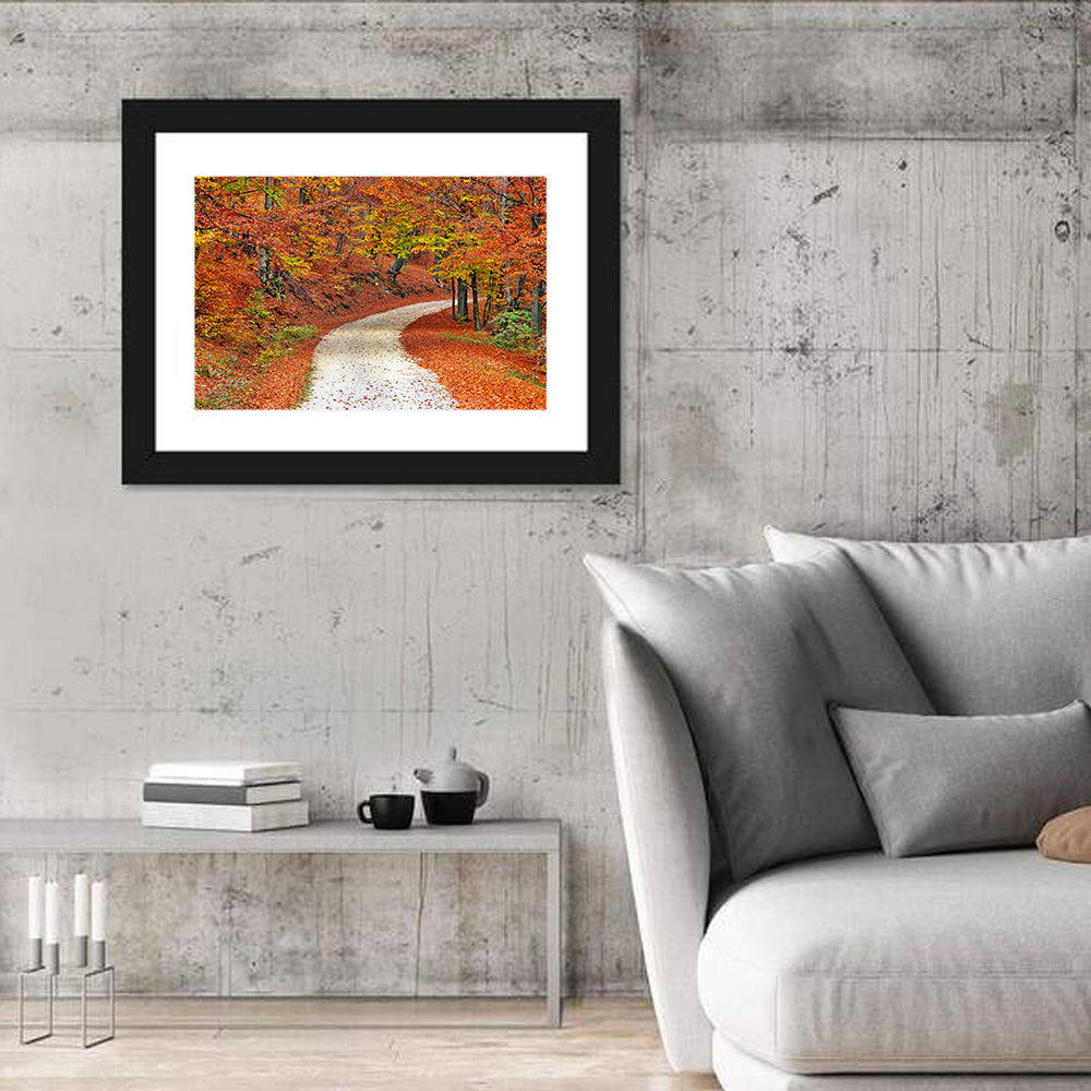 Misty Gravel Path Through Autumn Trees Wall Art in a room, landscape