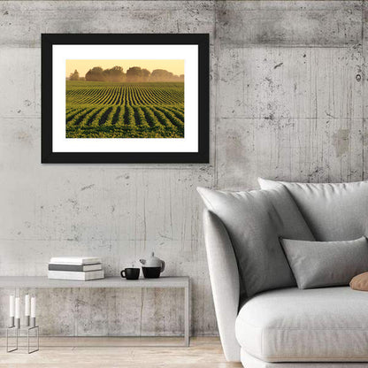 Misty Soybean Field Wall Art