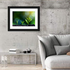 Seedling Growth Stages Wall Art