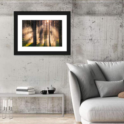 Misty Forest Sunrise Wall Art