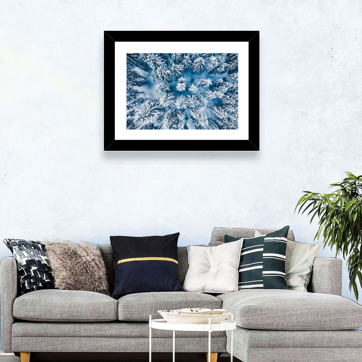 Aerial Snowy Evergreen Canopy Wall Art in a room, landscape