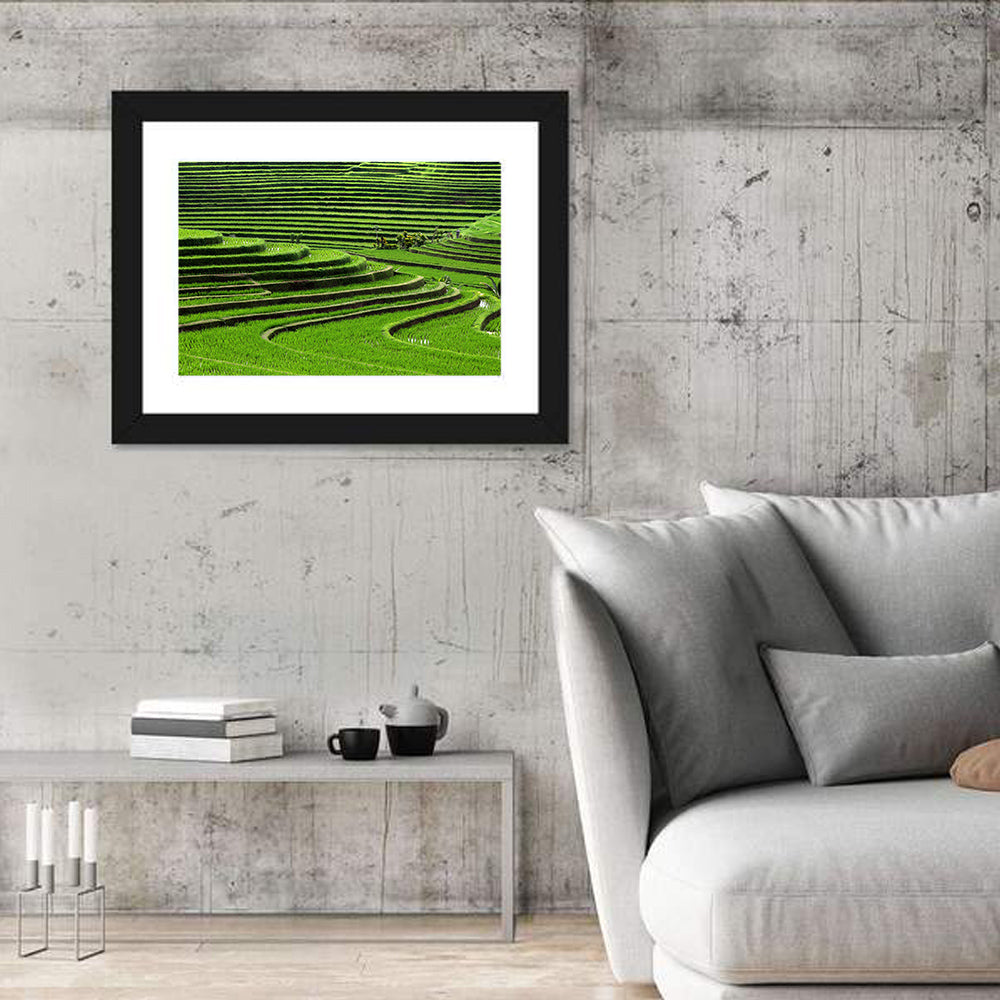 Lush Rice Terraces Wall Art
