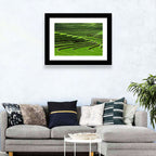 Lush Rice Terraces Wall Art