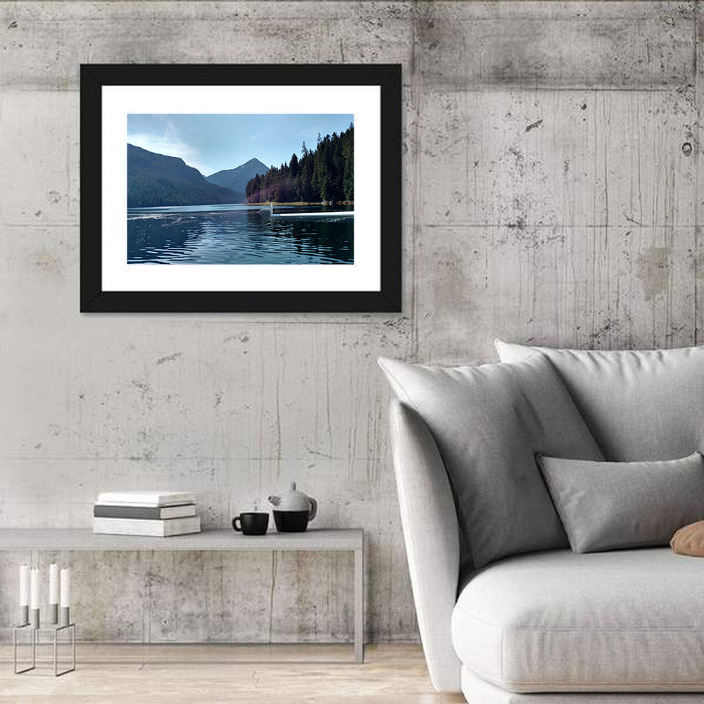 Tongass National Forest Seaplane View Wall Art in a room, landscape