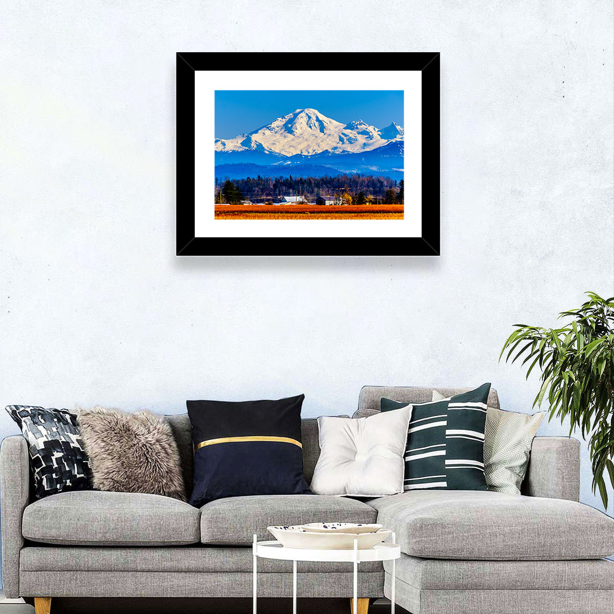 Mount Baker Fields Wall Art in a room, landscape
