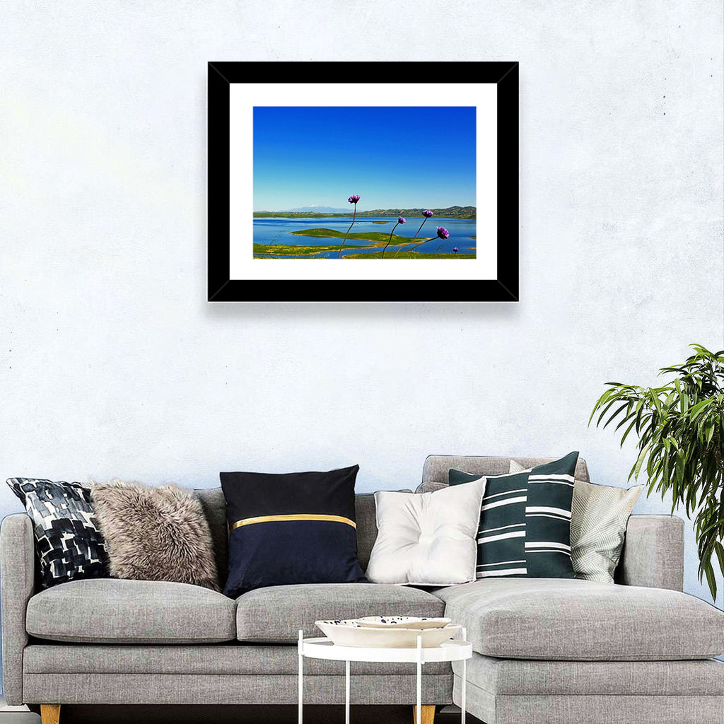 Lake Mathews Wildflower View Wall Art