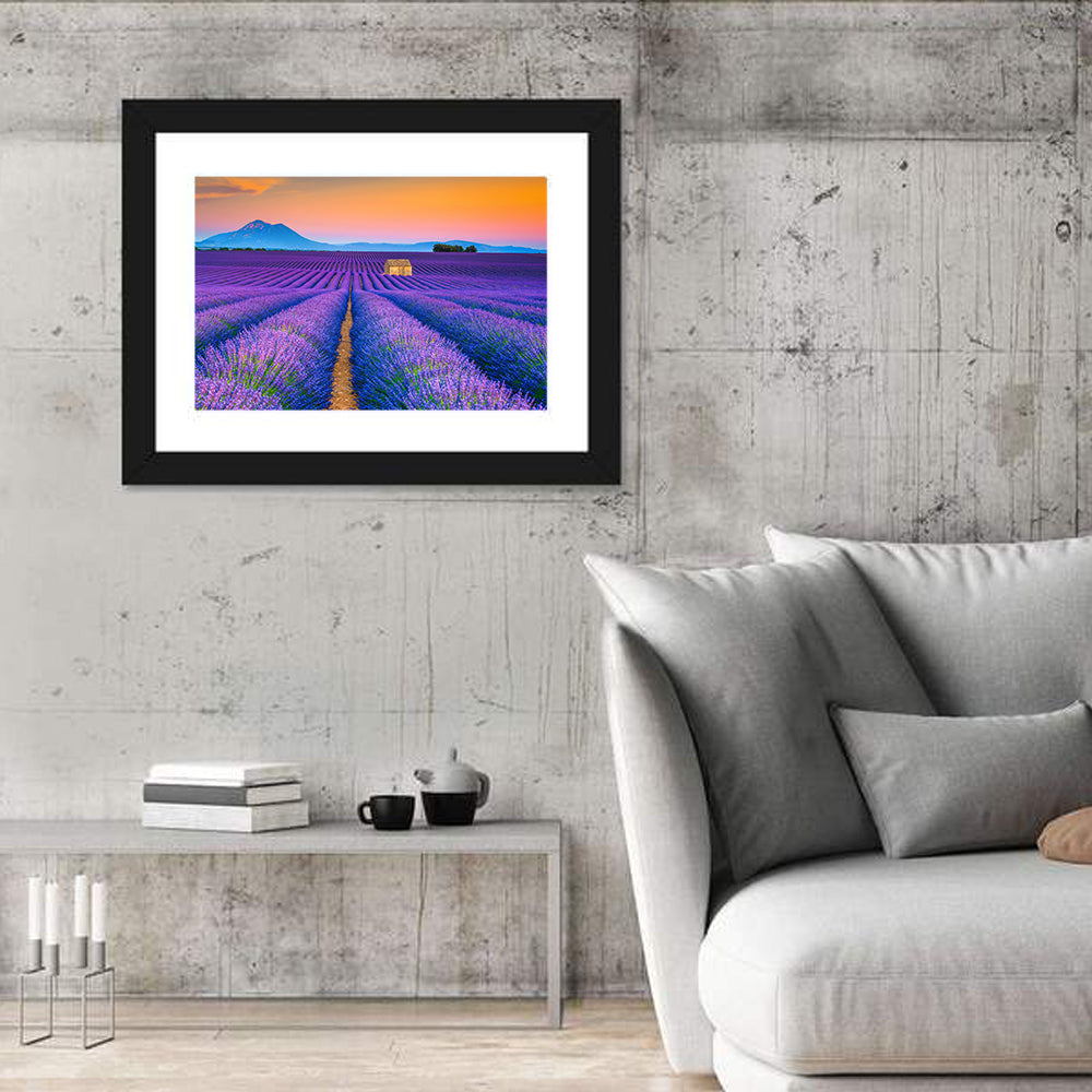 Valensole Lavender Fields at Sunset Wall Art in a room, landscape