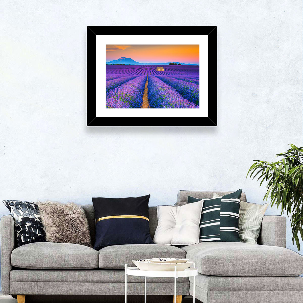 Lavender Fields Provence Wall Art