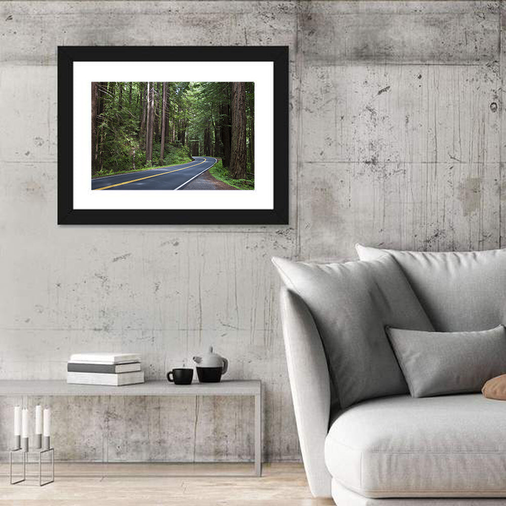 Winding Redwood Forest Road Wall Art in a room, landscape