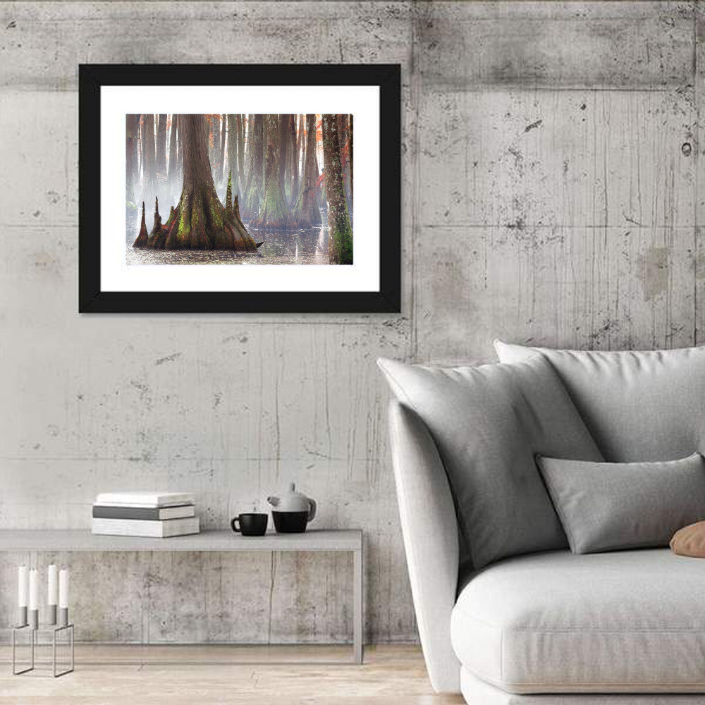 Chicot State Park Morning Fog Wall Art in a room, landscape