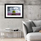 Lavender Field Crossroads with Lone Tree Wall Art