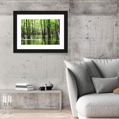 Green Swamp Forest Wall Art