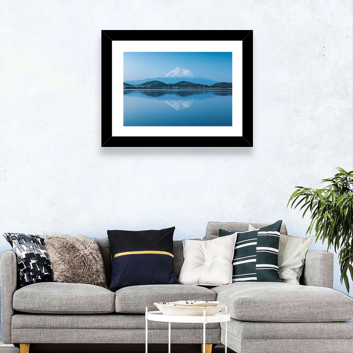 Snowy Mount Shasta Wall Art in a room, landscape