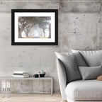 Misty Cypress Tunnel Wall Art